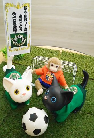 松本山雅