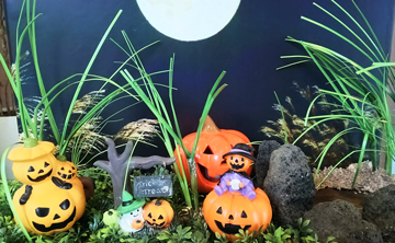 ハロウィン